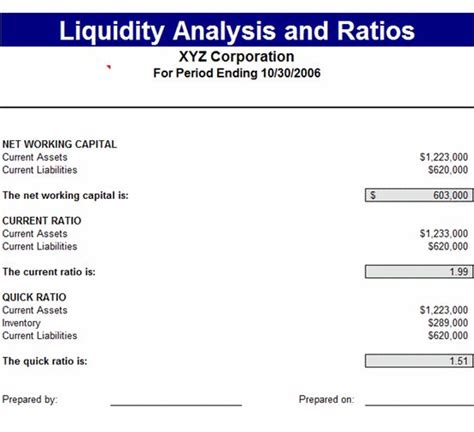 liquidity report template excel
